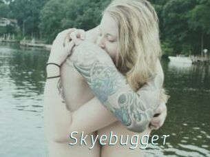 Skyebugger