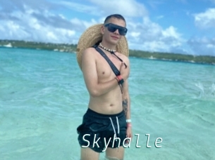 Skyhalle