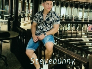 Stevebunny