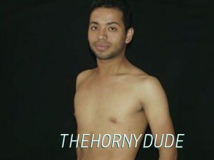 THEHORNYDUDE