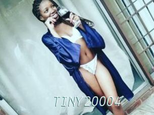 TINY20004