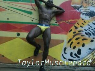 TaylorMusclehard