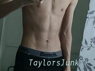 TaylorsJunk