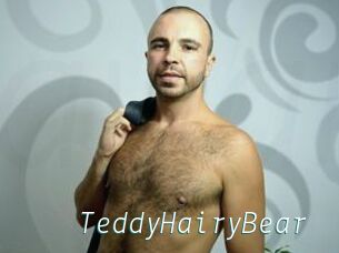 TeddyHairyBear