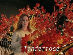 Tanderrose