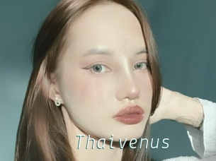 Thaivenus