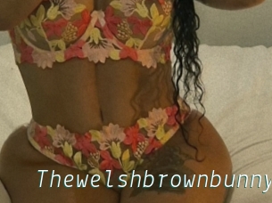 Thewelshbrownbunny