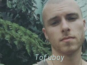 Tofu_boy