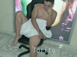 Torito