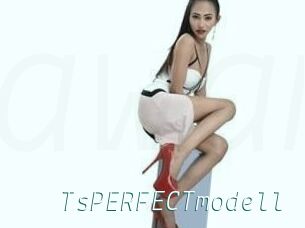 TsPERFECTmodell