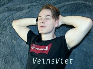 VeinsViet