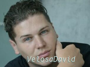 VelosaDavid