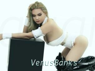 VenusBanks