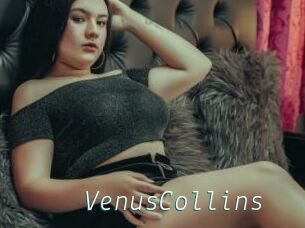 VenusCollins