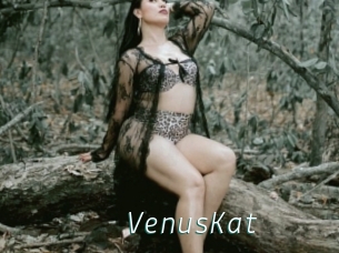 VenusKat