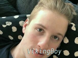 VikingBoy