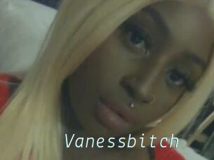 Vanessbitch