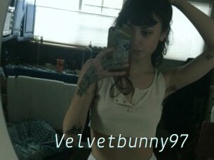 Velvetbunny97