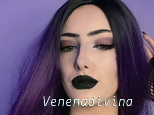 Venenadivina