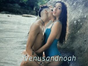 Venusandnoah