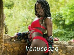 Venusbsbq