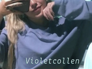 Violetcollen