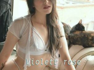 Violett_rose