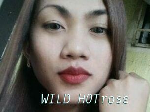 WILD_HOTrose