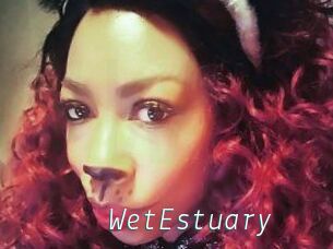 WetEstuary