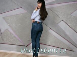 WhatIsGentle