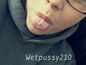 Wetpussy210