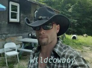 Wildcowboy