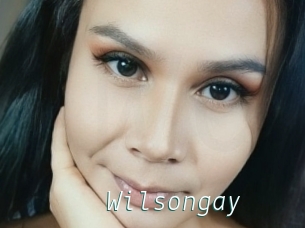 Wilsongay