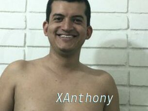 XAnthony