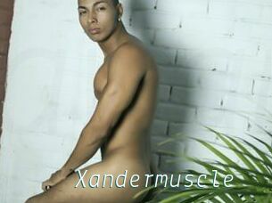 Xandermuscle