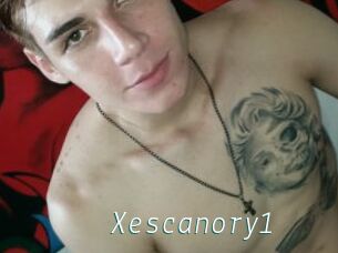 Xescanory1