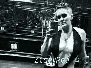 ZiggyRed