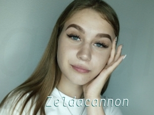 Zeldacannon